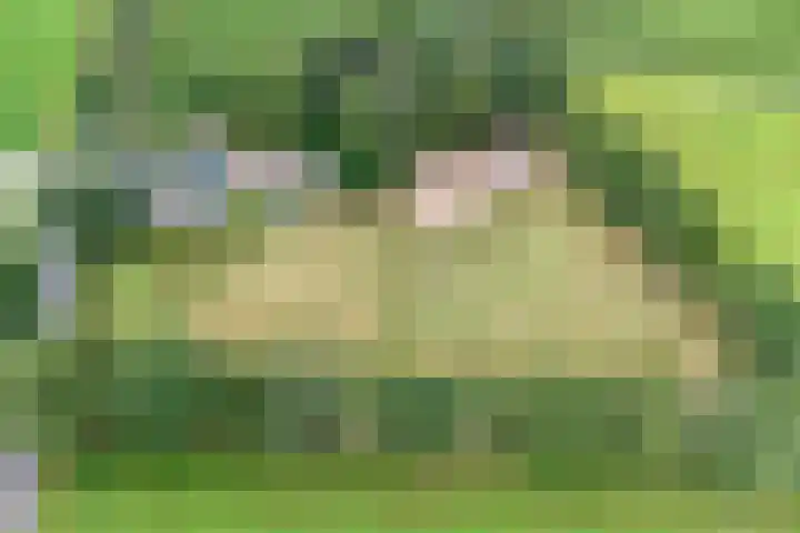Bleuminkmaatweg 3 Vorden thumbnail 37