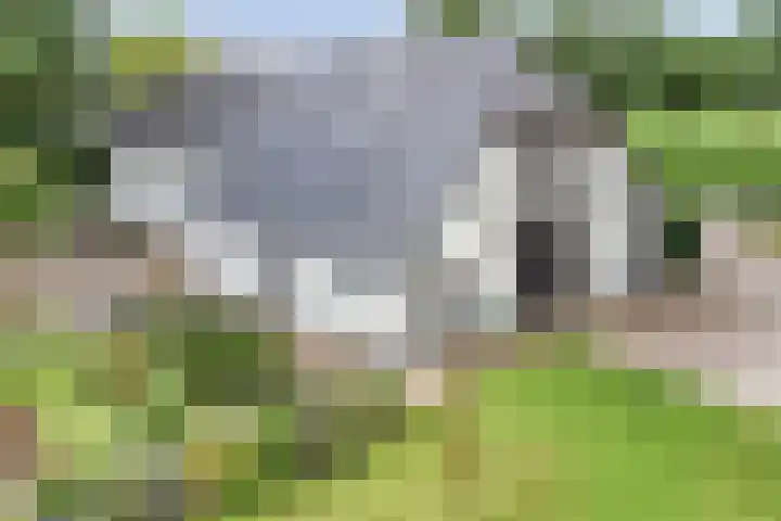 Bleuminkmaatweg 3 Vorden thumbnail 38