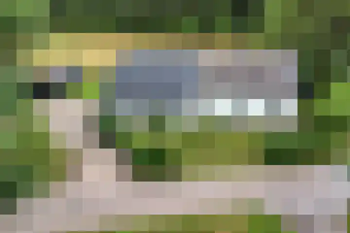 Bleuminkmaatweg 3 Vorden thumbnail 39