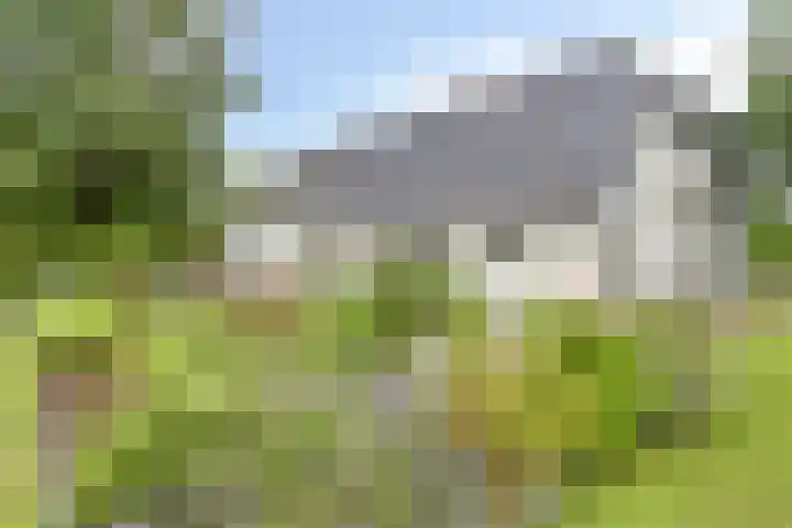 Bleuminkmaatweg 3 Vorden thumbnail 4