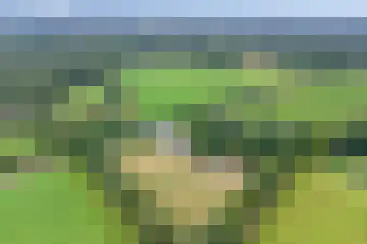 Bleuminkmaatweg 3 Vorden thumbnail 40