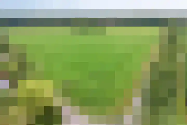 Bleuminkmaatweg 3 Vorden thumbnail 41