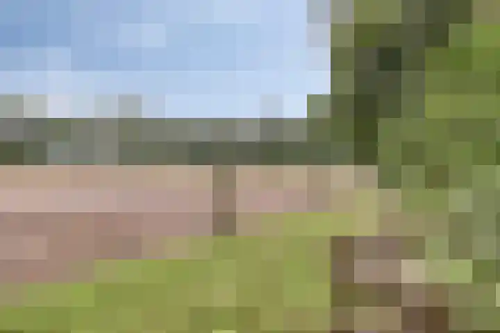 Bleuminkmaatweg 3 Vorden thumbnail 5