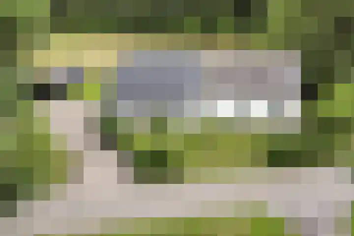 Bleuminkmaatweg 3 Vorden thumbnail 7