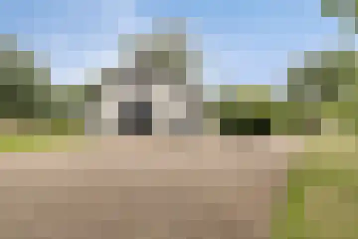 Bleuminkmaatweg 3 Vorden thumbnail 9