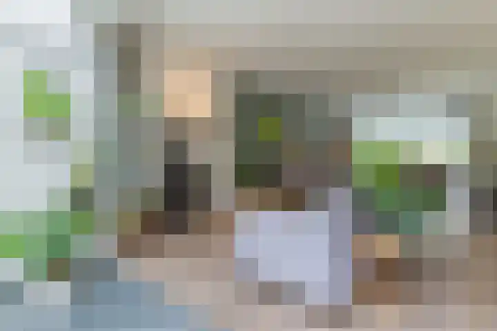 Bleyenbeekdreef 3 Helmond thumbnail 10