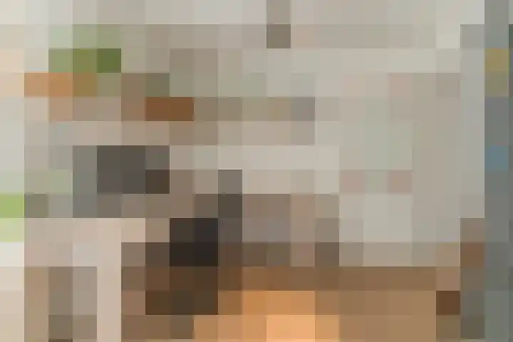 Bleyenbeekdreef 3 Helmond thumbnail 12