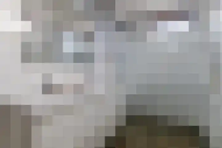 Bleyenbeekdreef 3 Helmond thumbnail 16