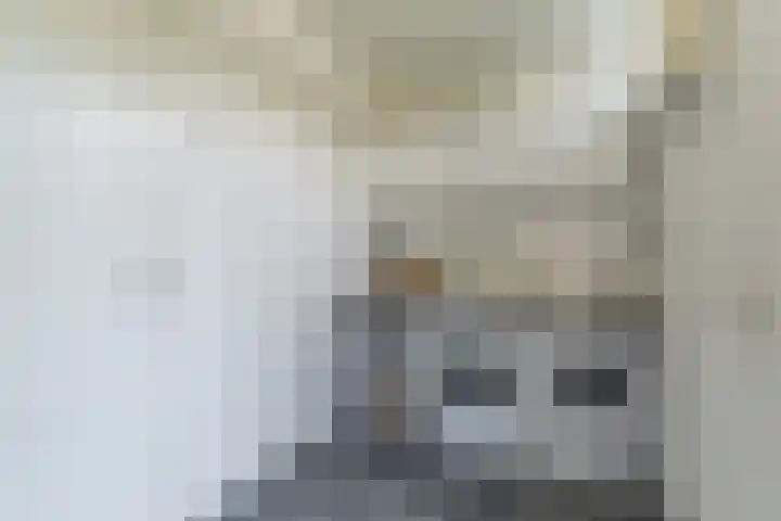 Bleyenbeekdreef 3 Helmond thumbnail 17