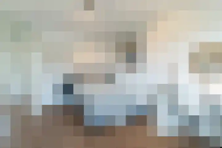 Bleyenbeekdreef 3 Helmond thumbnail 21