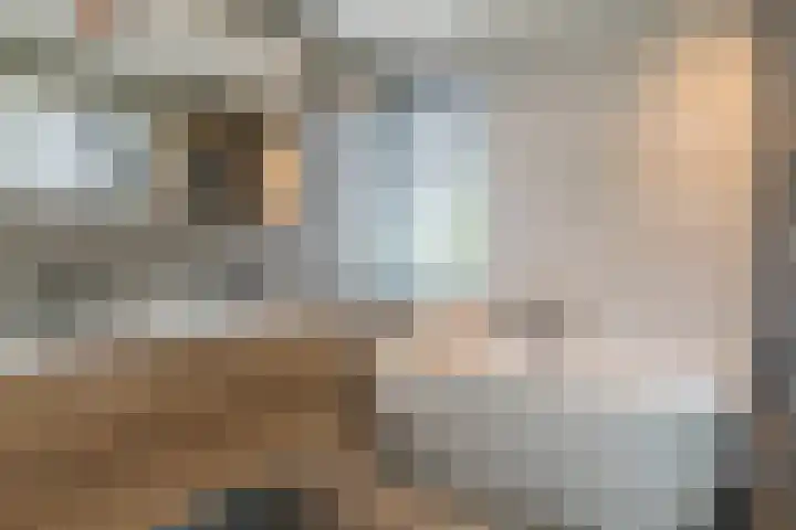 Bleyenbeekdreef 3 Helmond thumbnail 23