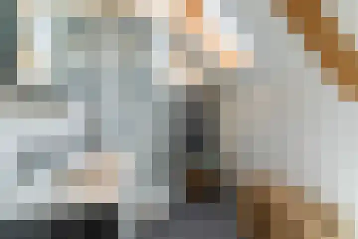 Bleyenbeekdreef 3 Helmond thumbnail 27