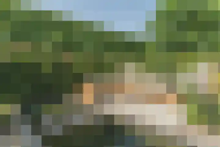 Bleyenbeekdreef 3 Helmond thumbnail 30