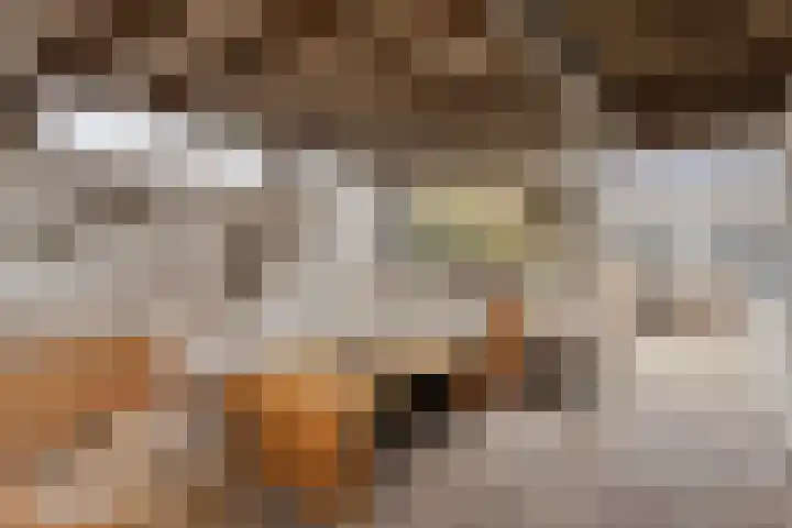 Bleyenbeekdreef 3 Helmond thumbnail 31