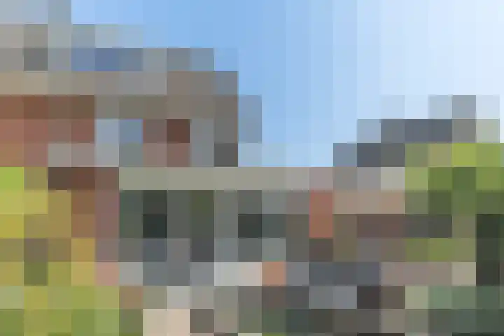 Bleyenbeekdreef 3 Helmond thumbnail 5