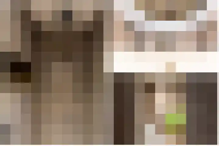 Bleyenbeekstraat 21 Almere thumbnail 23