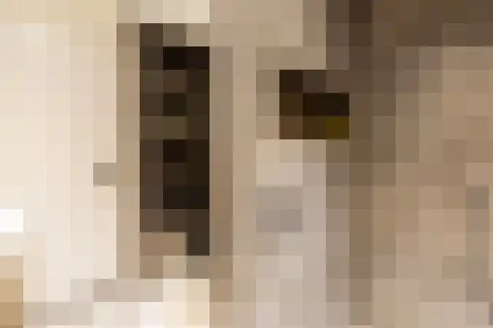 Bleyenbeekstraat 21 Almere thumbnail 24