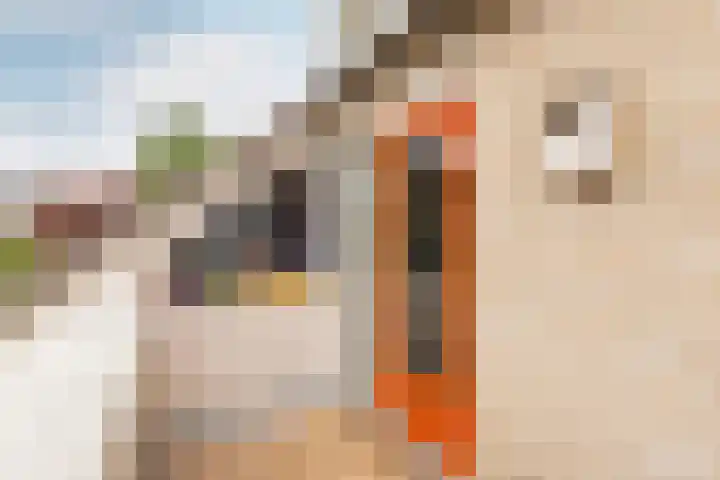 Bleyenbeekstraat 21 Almere thumbnail 31