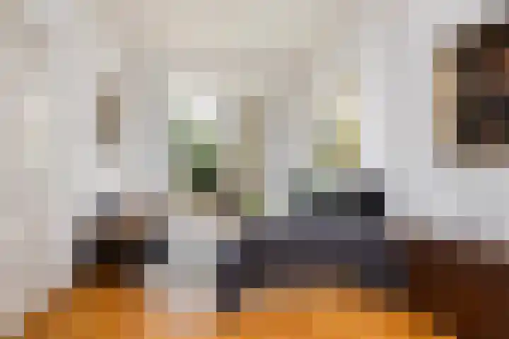 Bleyenburgstraat 7 Utrecht thumbnail 13