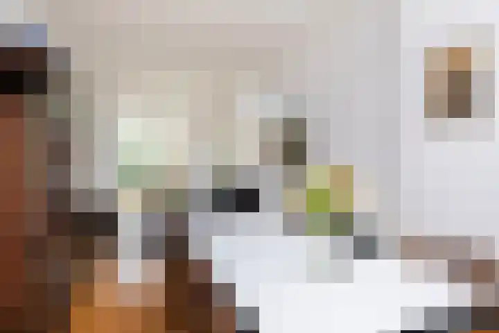Bleyenburgstraat 7 Utrecht thumbnail 14