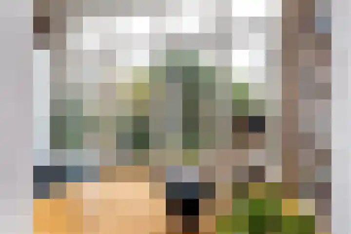 Bleyenburgstraat 7 Utrecht thumbnail 16
