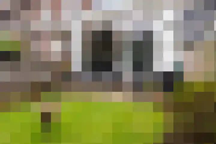 Bleyenburgstraat 7 Utrecht thumbnail 19