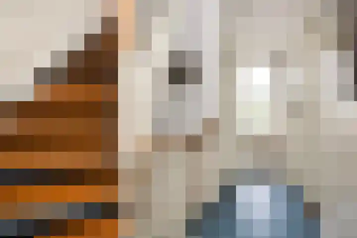 Bleyenburgstraat 7 Utrecht thumbnail 21