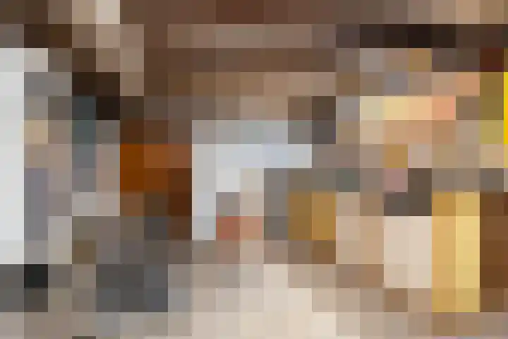 Bleyenburgstraat 7 Utrecht thumbnail 37