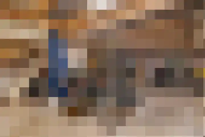 Bleyenburgstraat 7 Utrecht thumbnail 38