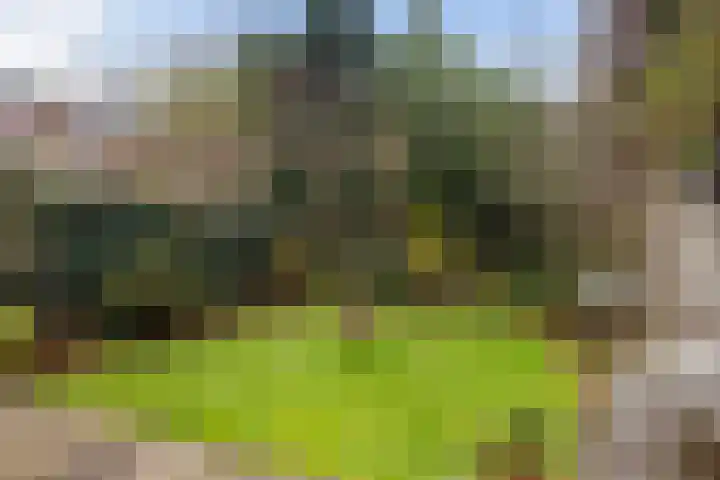 Bleyenburgstraat 7 Utrecht thumbnail 4