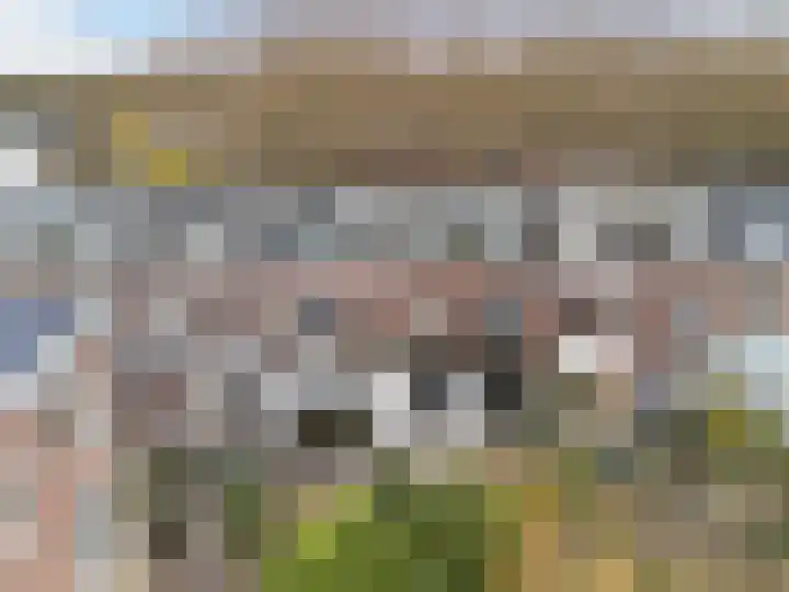 Bleyenburgstraat 7 Utrecht thumbnail 5