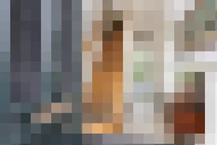 Bleyenburgstraat 7 Utrecht thumbnail 6