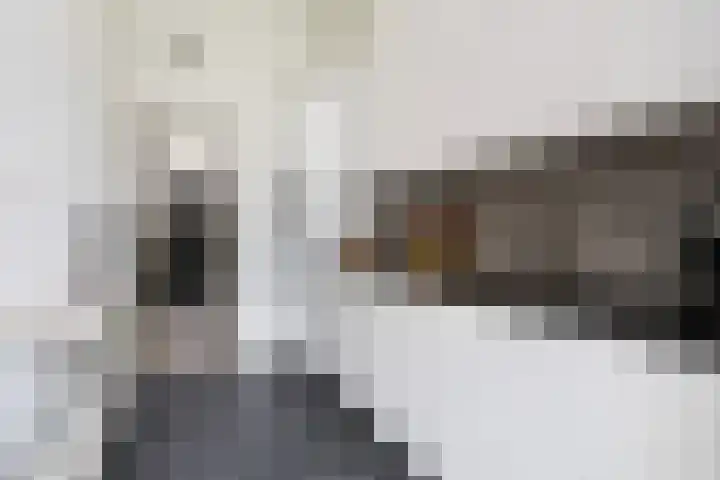 Bleyenburgstraat 7 Utrecht thumbnail 8