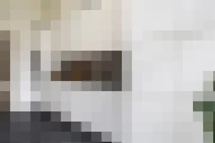 Bleyenburgstraat 7 Utrecht thumbnail 9
