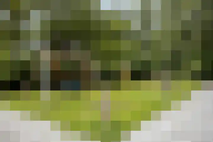 Bleyenhoevelaan 3 Velsen-Noord thumbnail 13