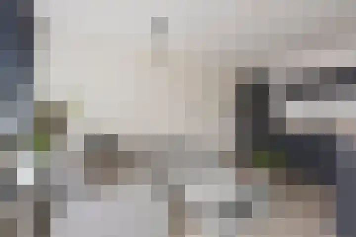 Bleyenhoevelaan 3 Velsen-Noord thumbnail 4
