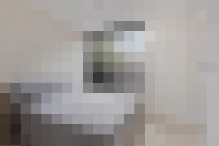 Bleyenhoevelaan 3 Velsen-Noord thumbnail 9