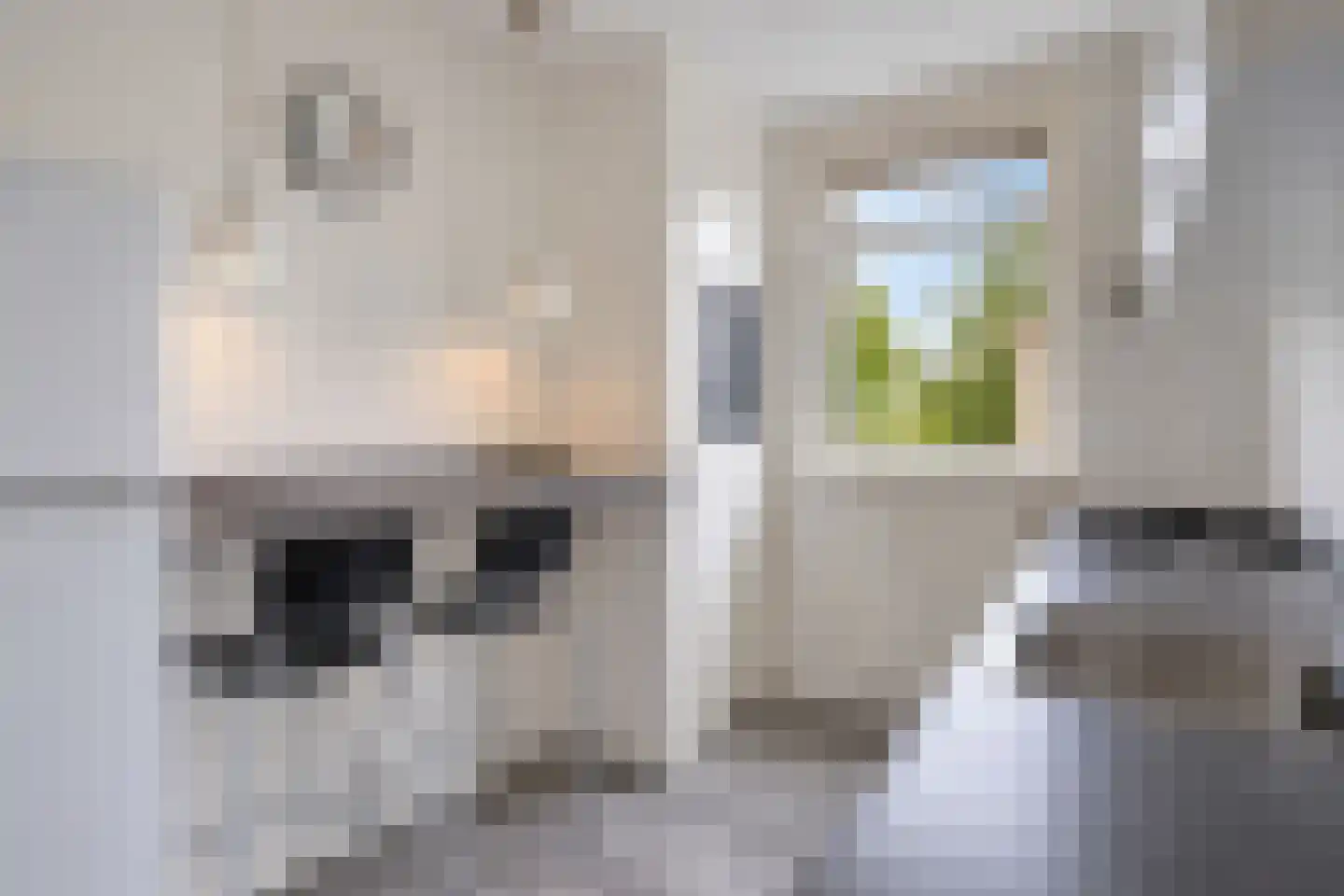 Bleyslaan 40 Eindhoven thumbnail 13