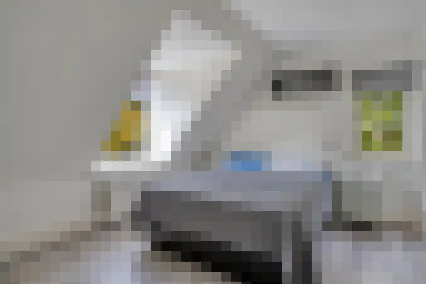 Bleyslaan 40 Eindhoven thumbnail 20