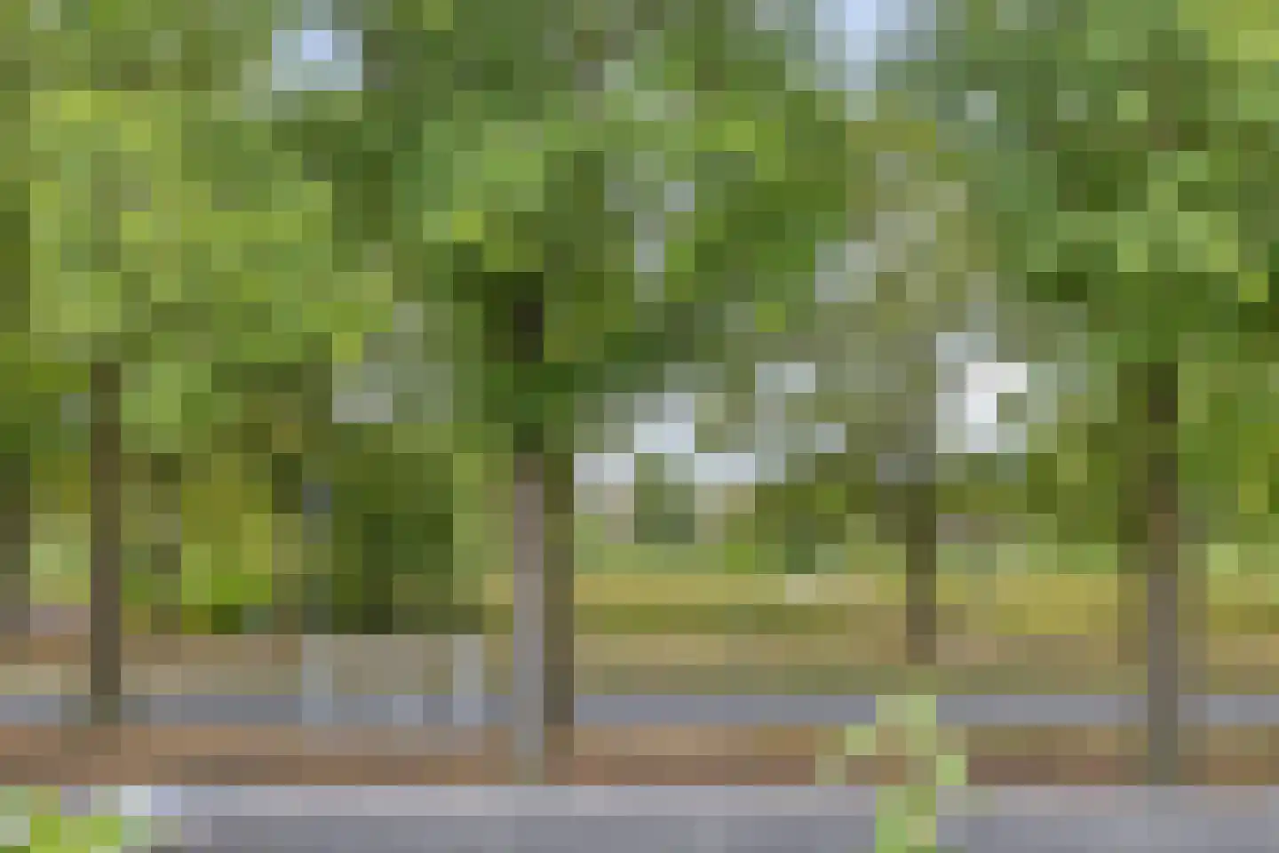 Bleyslaan 40 Eindhoven thumbnail 27