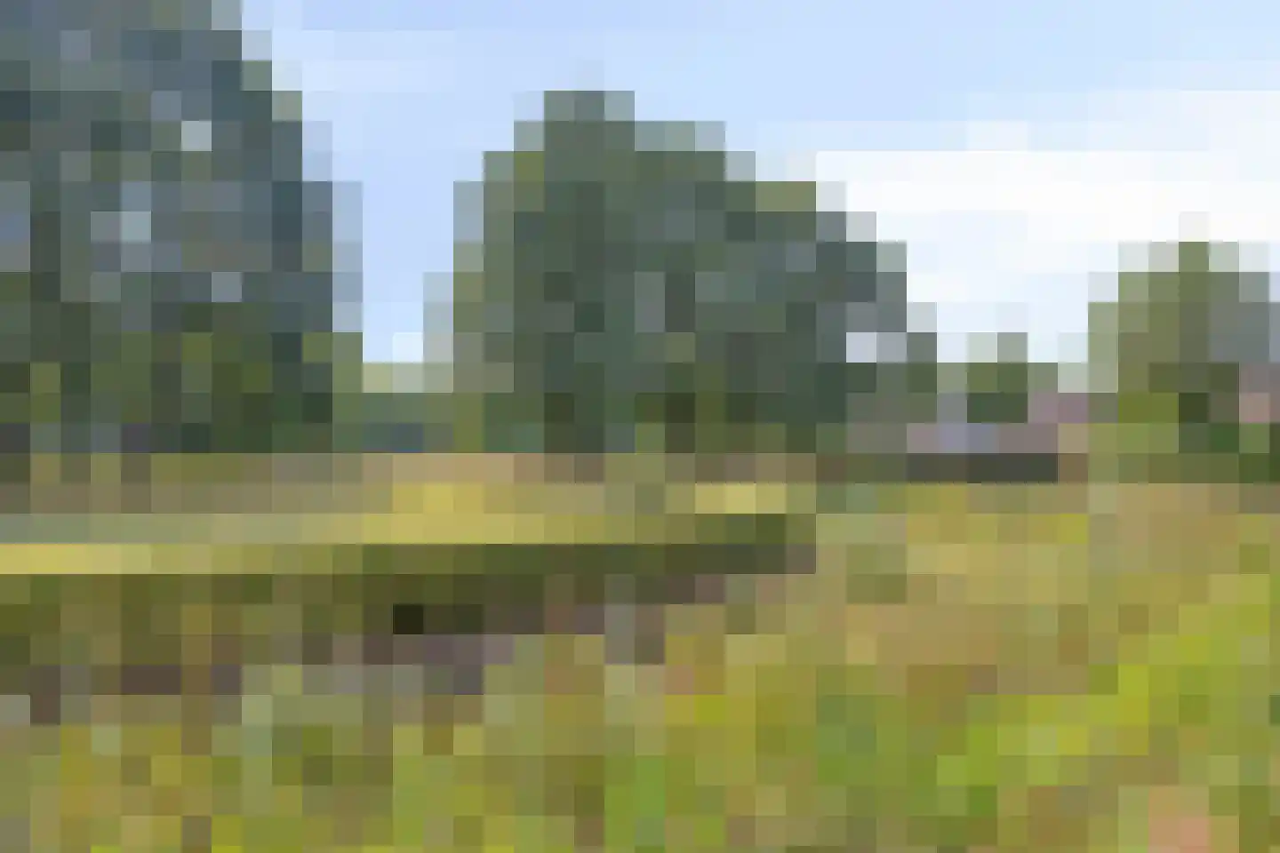 Bleyslaan 40 Eindhoven thumbnail 30