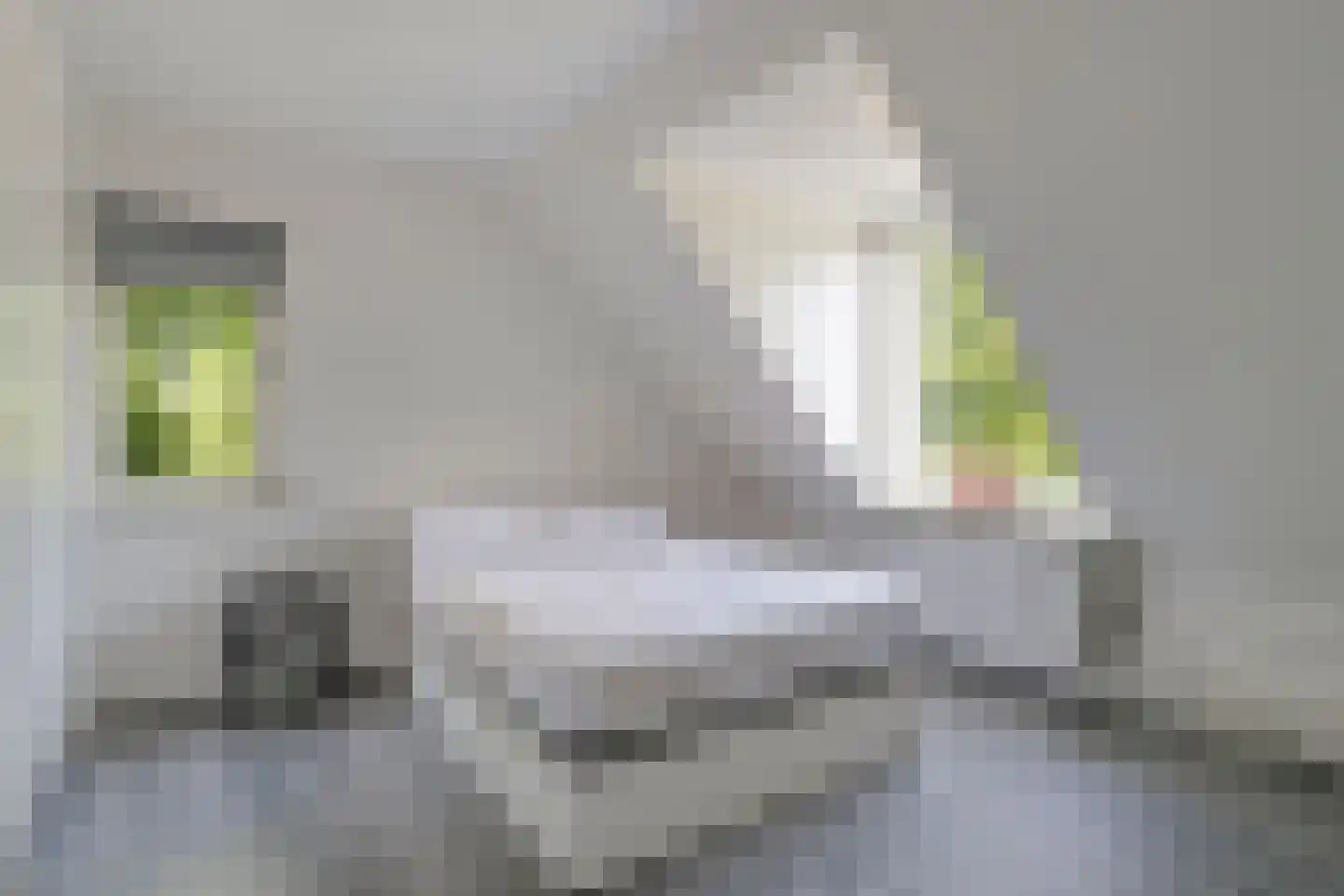 Bleyslaan 40 Eindhoven thumbnail 4