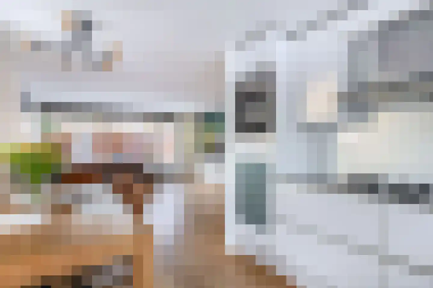 Bliek 19 Ridderkerk thumbnail 17