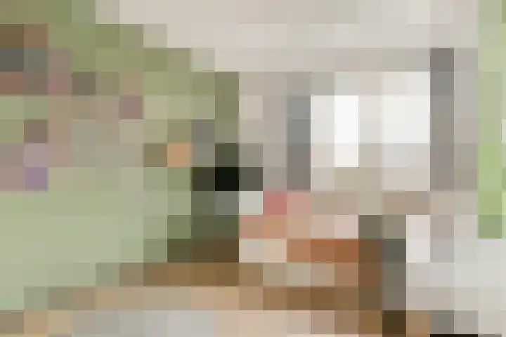 Bliek 21 Hendrik-Ido-Ambacht thumbnail 11