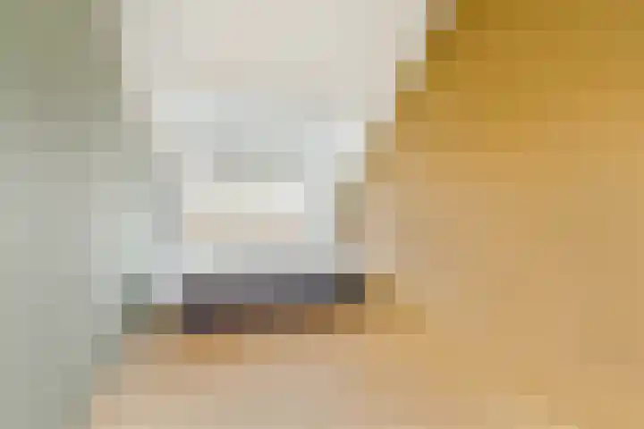 Bliek 21 Hendrik-Ido-Ambacht thumbnail 20