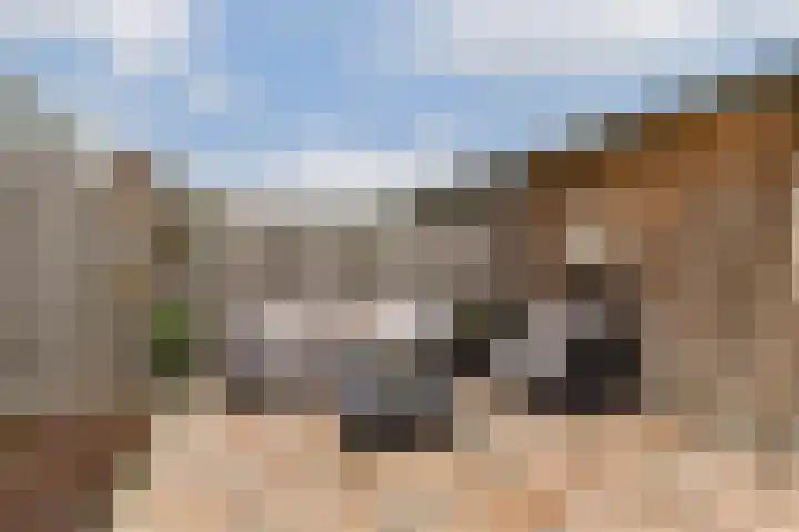 Bliek 21 Hendrik-Ido-Ambacht thumbnail 22