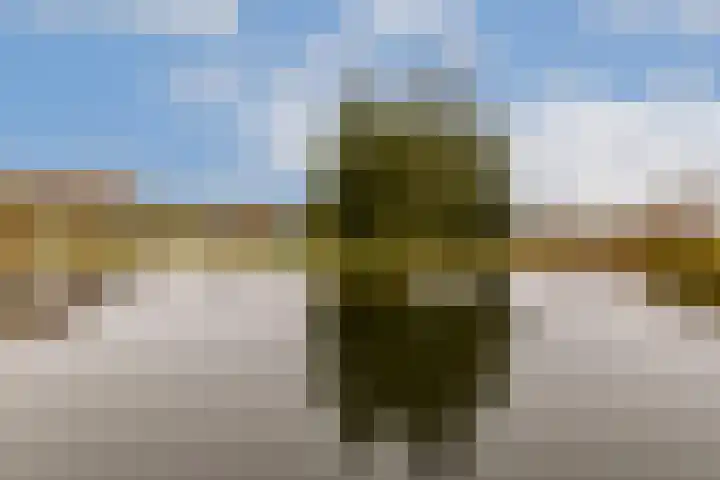 Bliek 21 Hendrik-Ido-Ambacht thumbnail 24