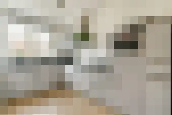 Bliek 21 Hendrik-Ido-Ambacht thumbnail 9