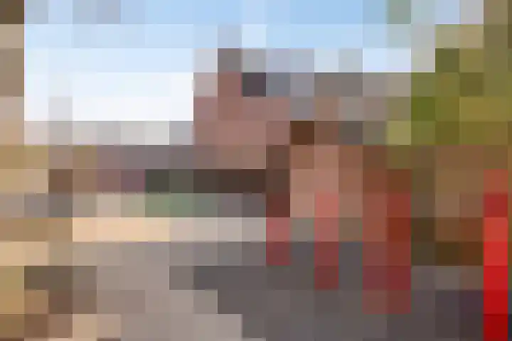 Bliek 35 Hellevoetsluis thumbnail 31
