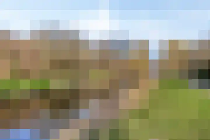 Bliek 35 Hellevoetsluis thumbnail 33